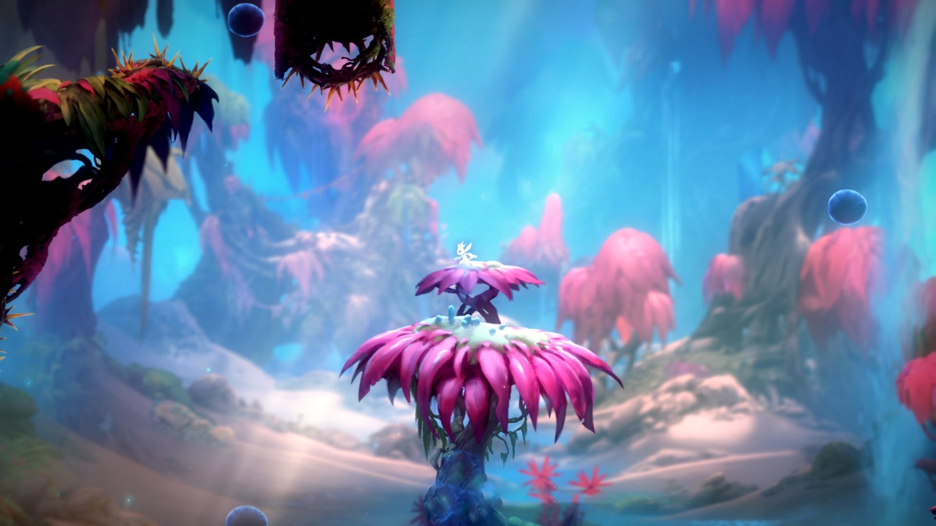 开云体育APP下载-武切维奇末节觉醒！爵士撕裂鹈鹕防线迎关键胜利