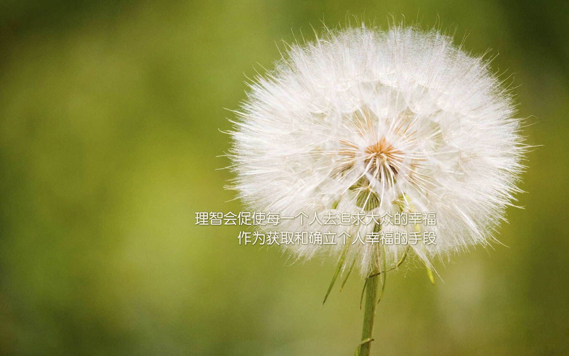 篮坛新王的加冕礼，拉梅洛指挥季后赛交响之夜