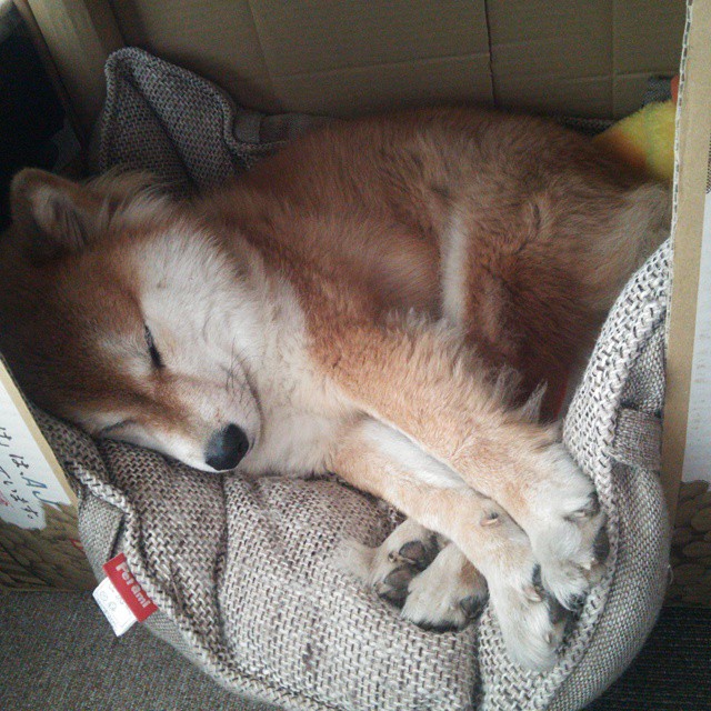 F1揭幕战之夜，爱德华兹的星光闪耀，全场聚焦