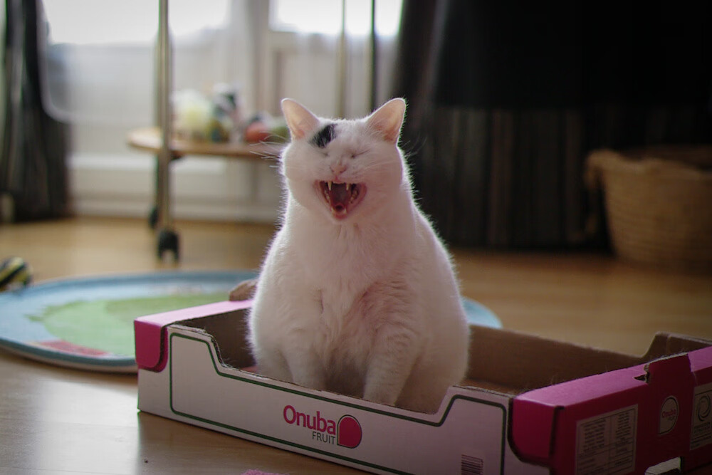 跨界巅峰，当北京首钢穿越至NBA总决赛鏖战丹佛掘金