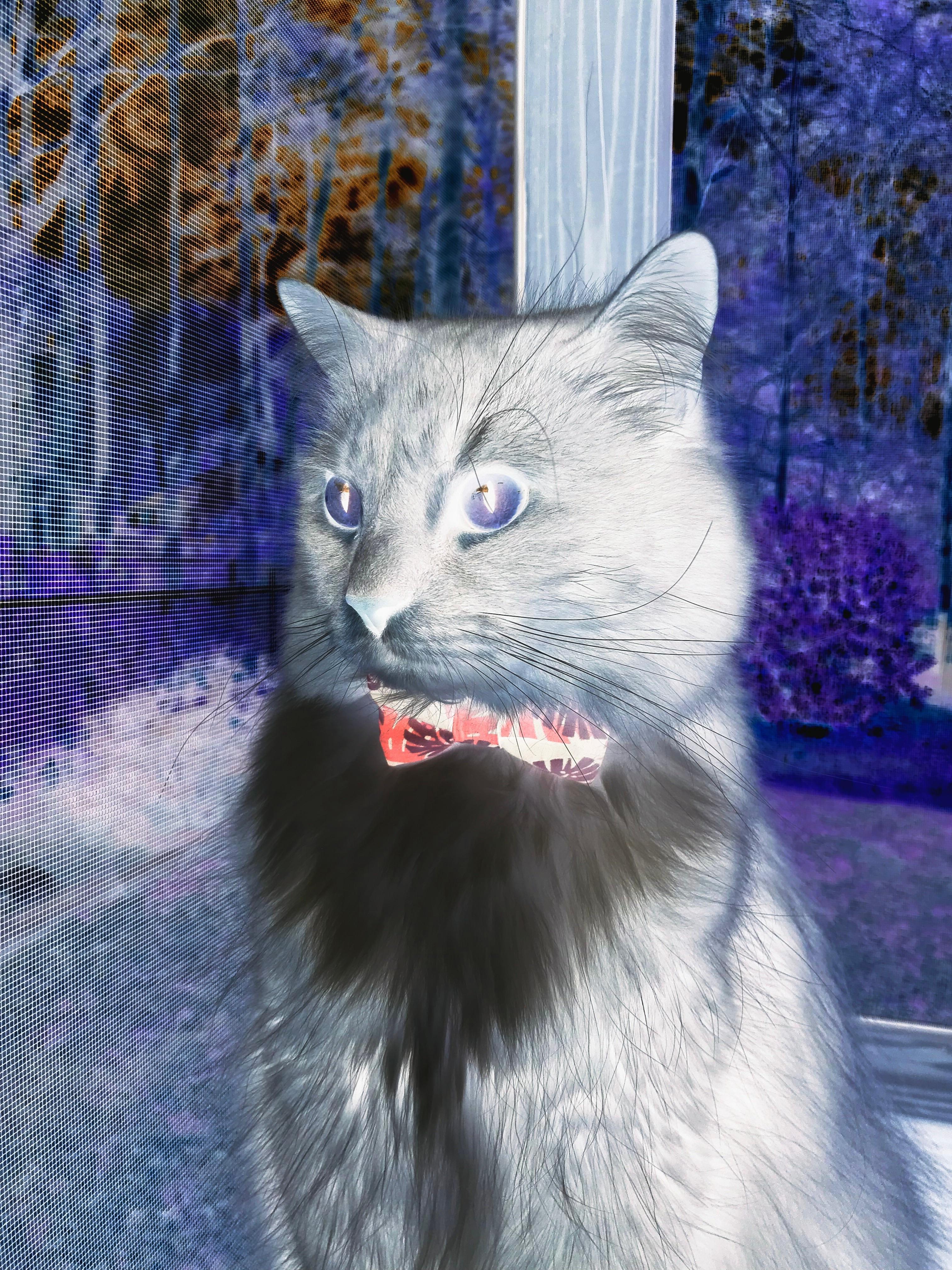 双线奏凯，苏格兰的战术涅槃与萨拉赫的射手王朝