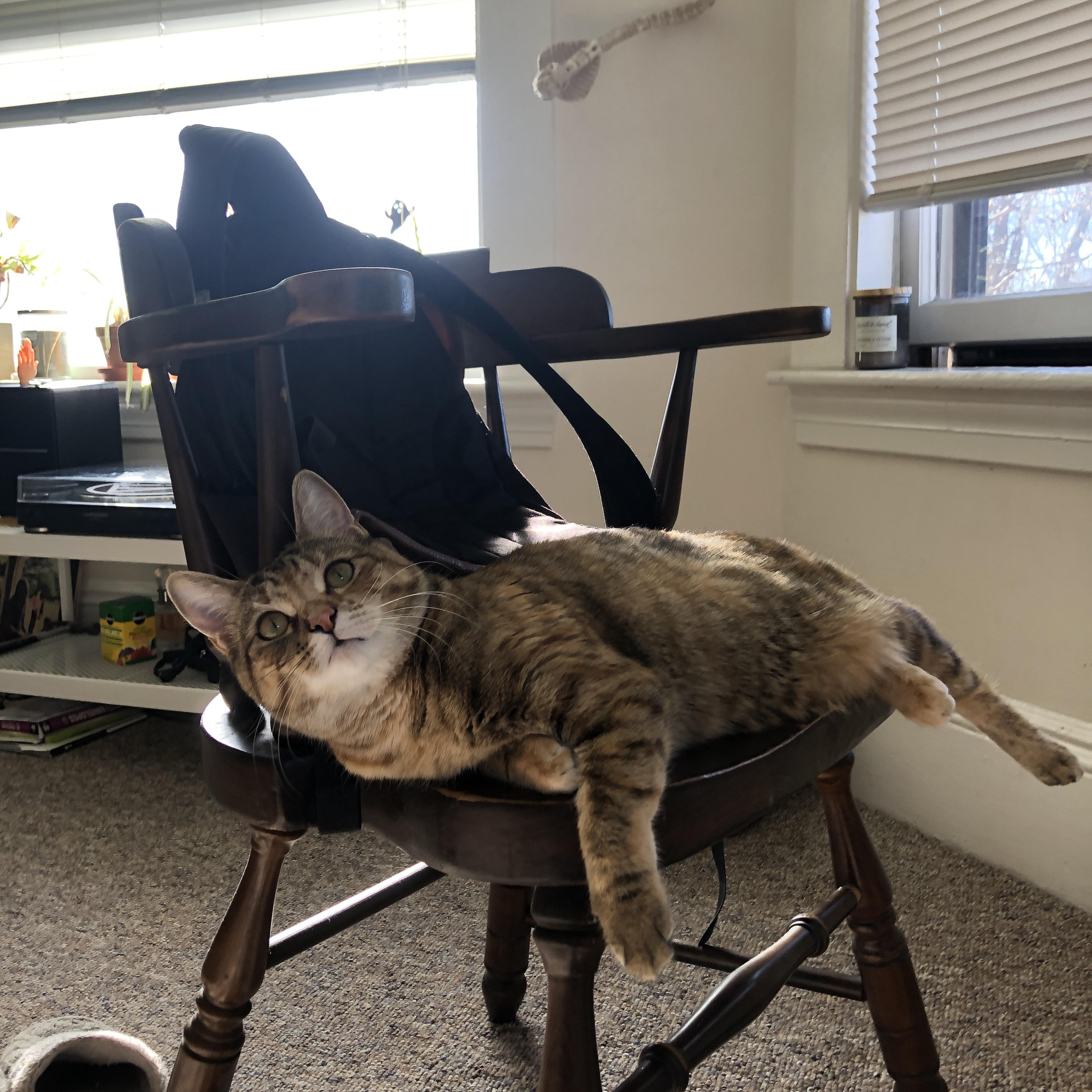 凡人的意志与不老的野心，足球世界的新杠杆