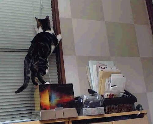 黑色闪电,小贾伦单骑救主,马刺强势晋级撕破火箭防线