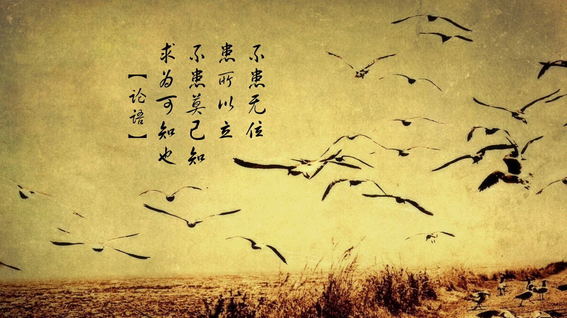 绝境阿坎吉！安哥拉横扫利物浦夺奥运门票，非洲内战见证新王诞生