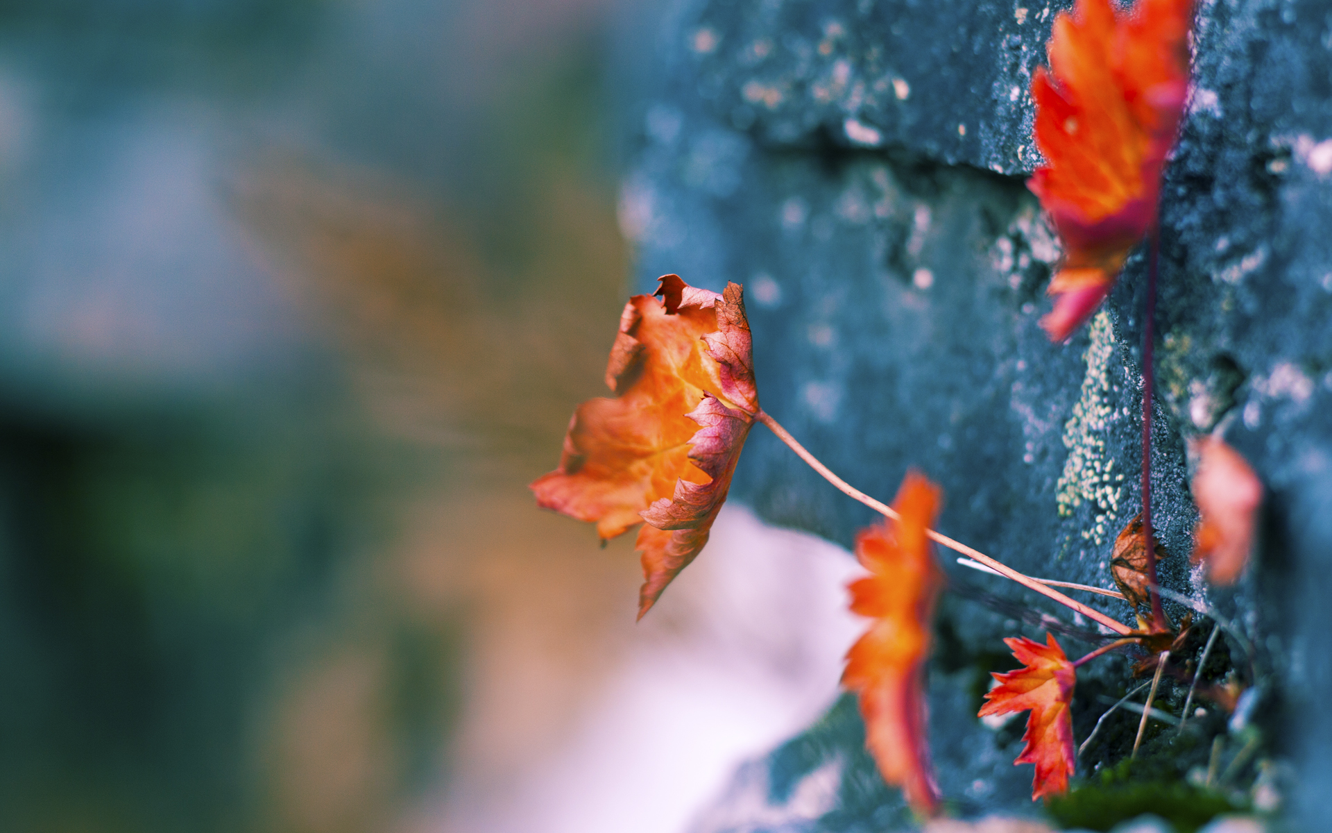 坚盾降法老，切尔西铁壁战术下，库尔图瓦如何成为终结埃及之矛的关键先生