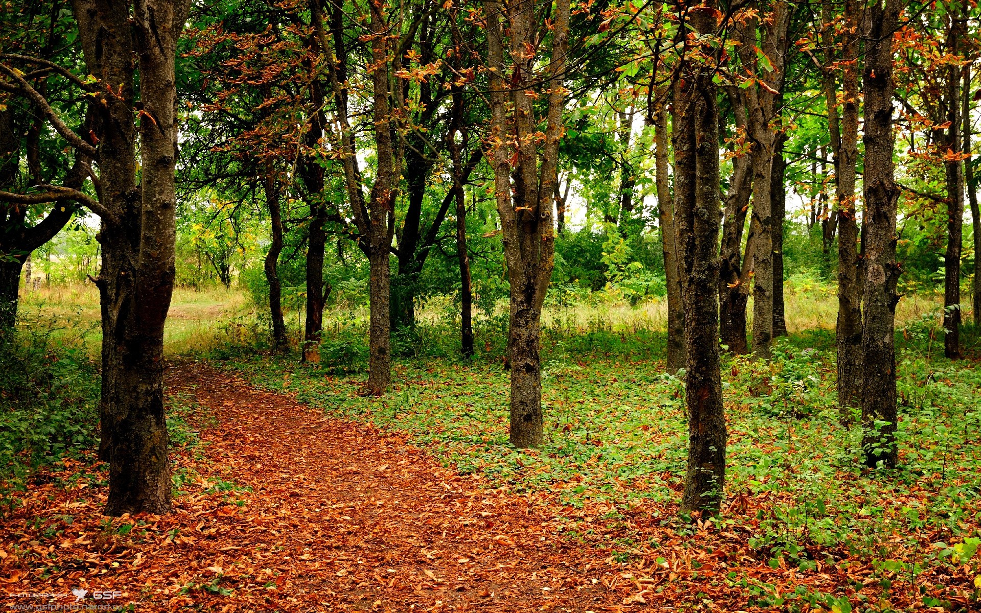 马赛铁壁，阿拉巴神剑，当集体意志铸就不可逾越的屏障