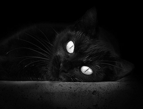 北欧童话终结控球神话，瑞典破咒之战如何震撼美加墨世界杯？