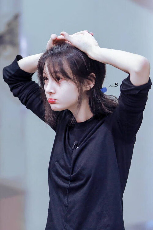 （多版本）