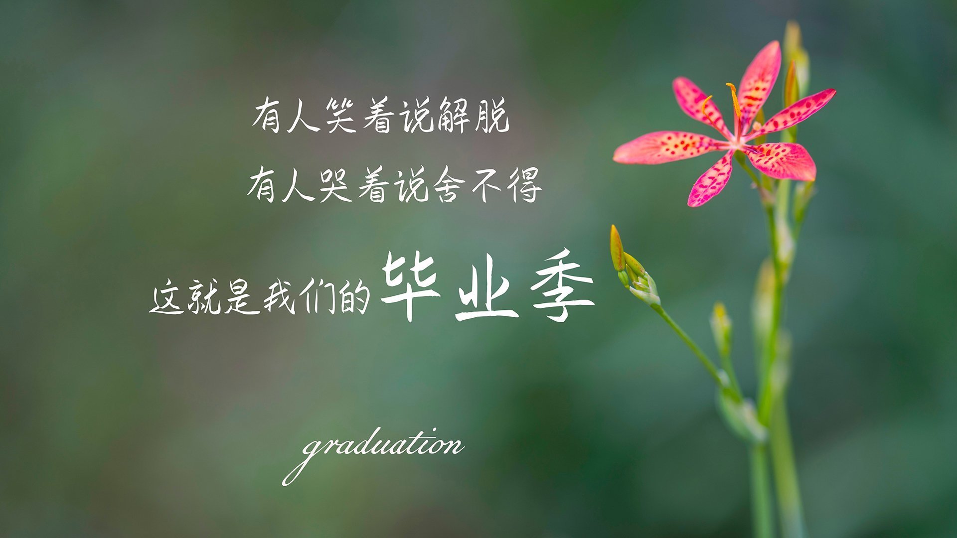 D组生死战，泰国逆转西班牙，归化悍将德容一战封神