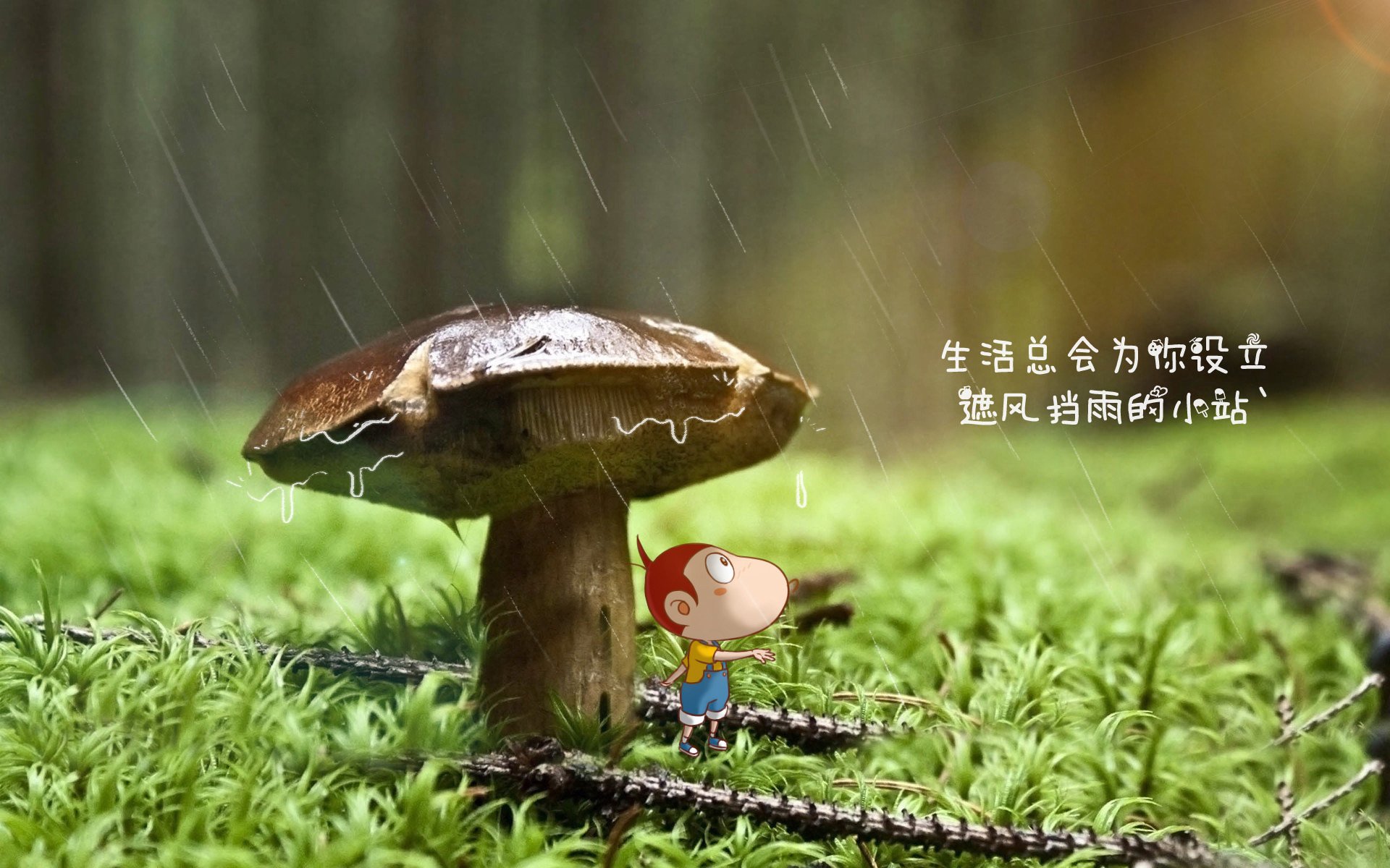 铁幕下的艺术盛宴,当高卢雄鸡用碾压诠释足球美学